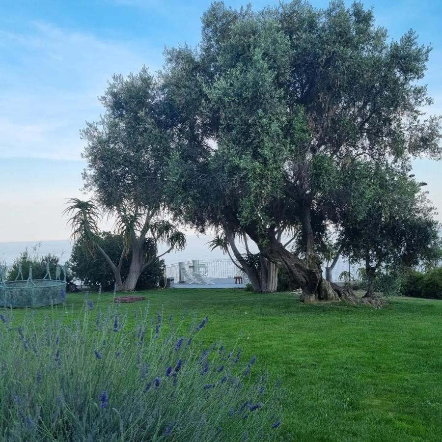 Agriturismo La Tuffatrice Imperia Exteriör bild