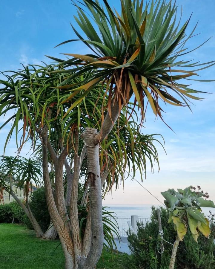 Agriturismo La Tuffatrice Imperia Exteriör bild