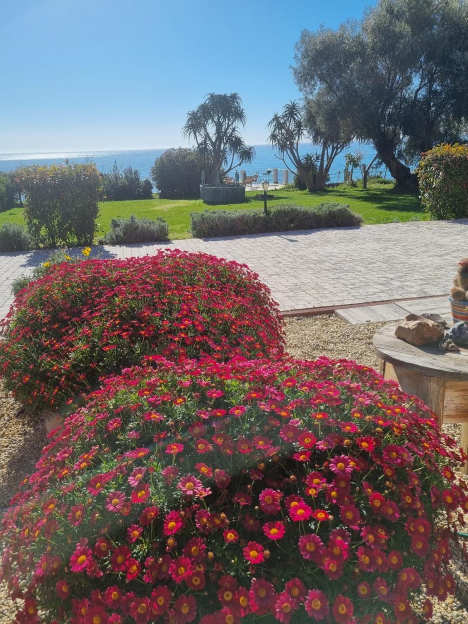 Agriturismo La Tuffatrice Imperia Rum bild