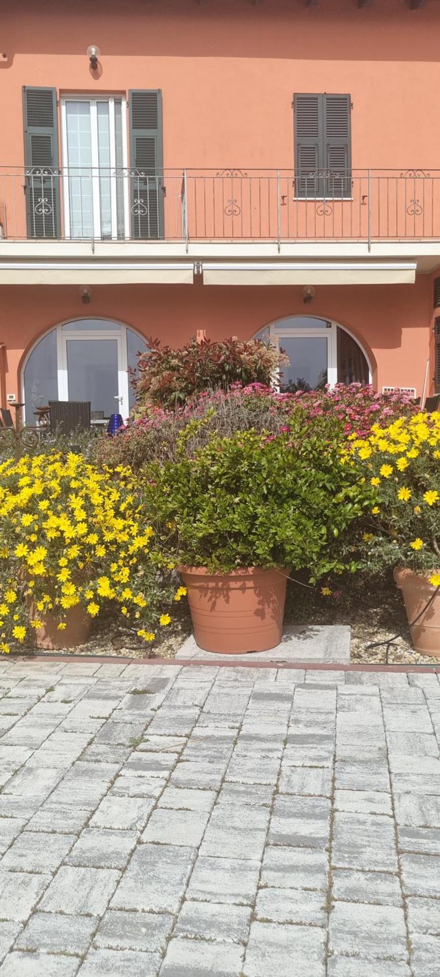 Agriturismo La Tuffatrice Imperia Exteriör bild