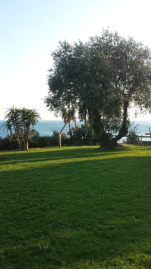 Agriturismo La Tuffatrice Imperia Exteriör bild
