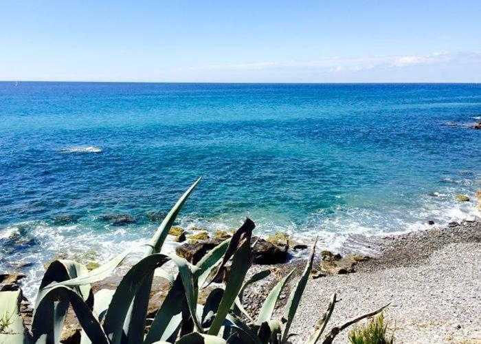 Agriturismo La Tuffatrice Imperia Exteriör bild